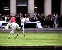 Dressage-photos
