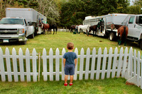 LilBoyAdmiringHorses